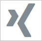 Das Xing-Logo besteht aus zwei Pfeilspitzen, die zueinander versetzt sind. Die linke Pfeilspitze ist kleiner als die rechte. Zusammen bilden Sie den Buchstaben "X".